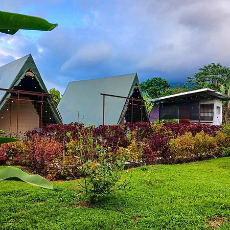 Villa Flora Glamping De Abuela La Fortuna Esterno foto