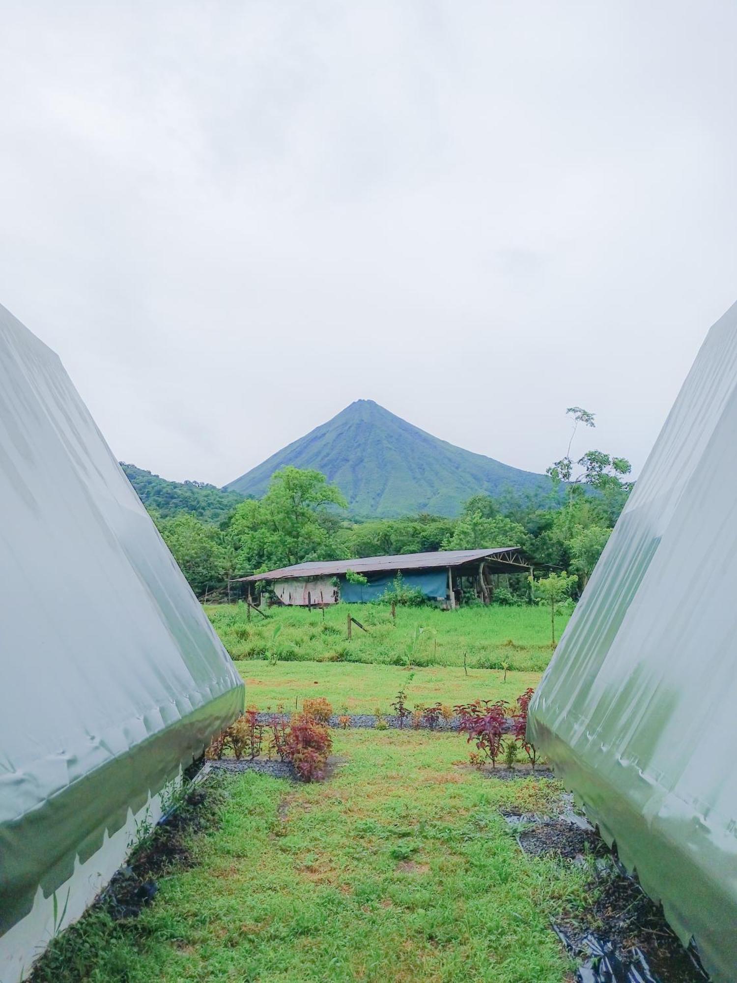 Villa Flora Glamping De Abuela La Fortuna Esterno foto