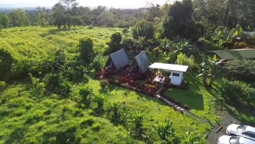 Villa Flora Glamping De Abuela La Fortuna Esterno foto