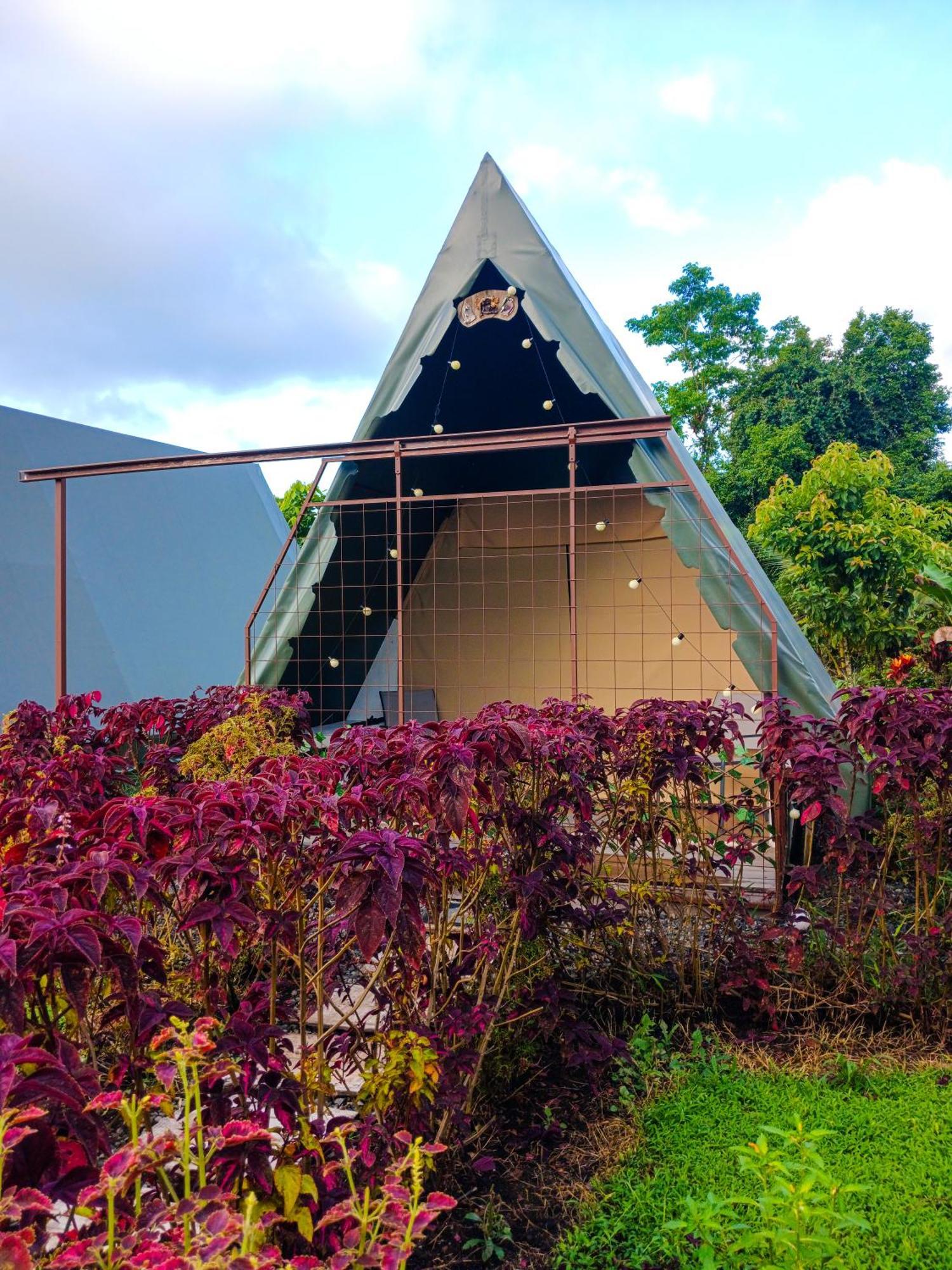 Villa Flora Glamping De Abuela La Fortuna Esterno foto