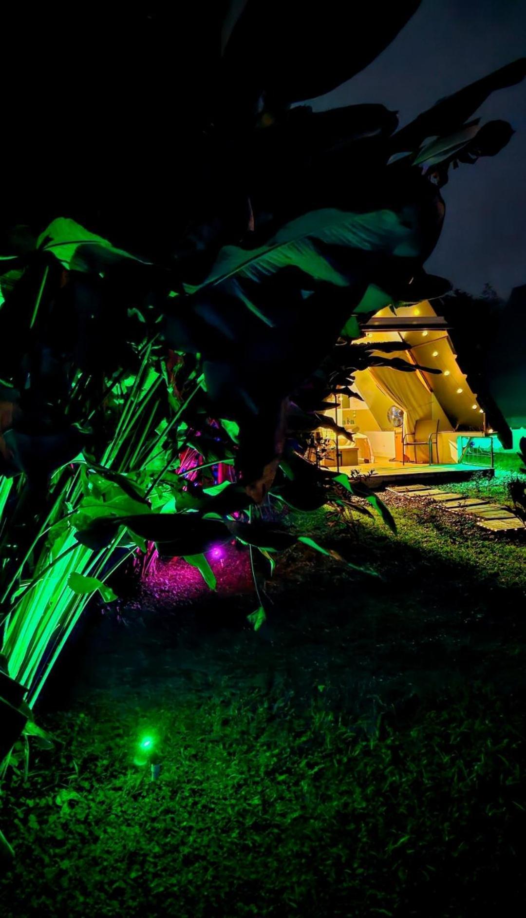 Villa Flora Glamping De Abuela La Fortuna Esterno foto
