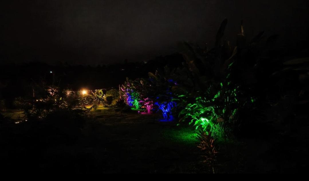 Villa Flora Glamping De Abuela La Fortuna Esterno foto