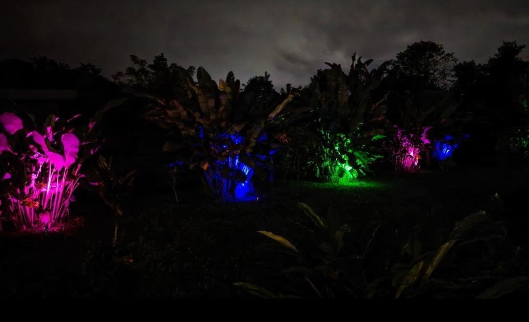 Villa Flora Glamping De Abuela La Fortuna Esterno foto