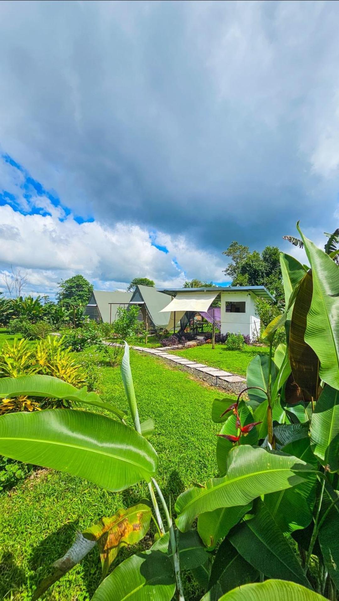 Villa Flora Glamping De Abuela La Fortuna Esterno foto